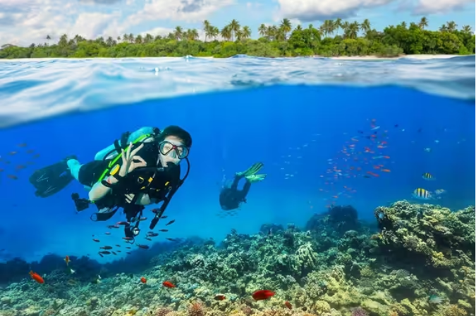 Scuba Diving Grand Island Goa