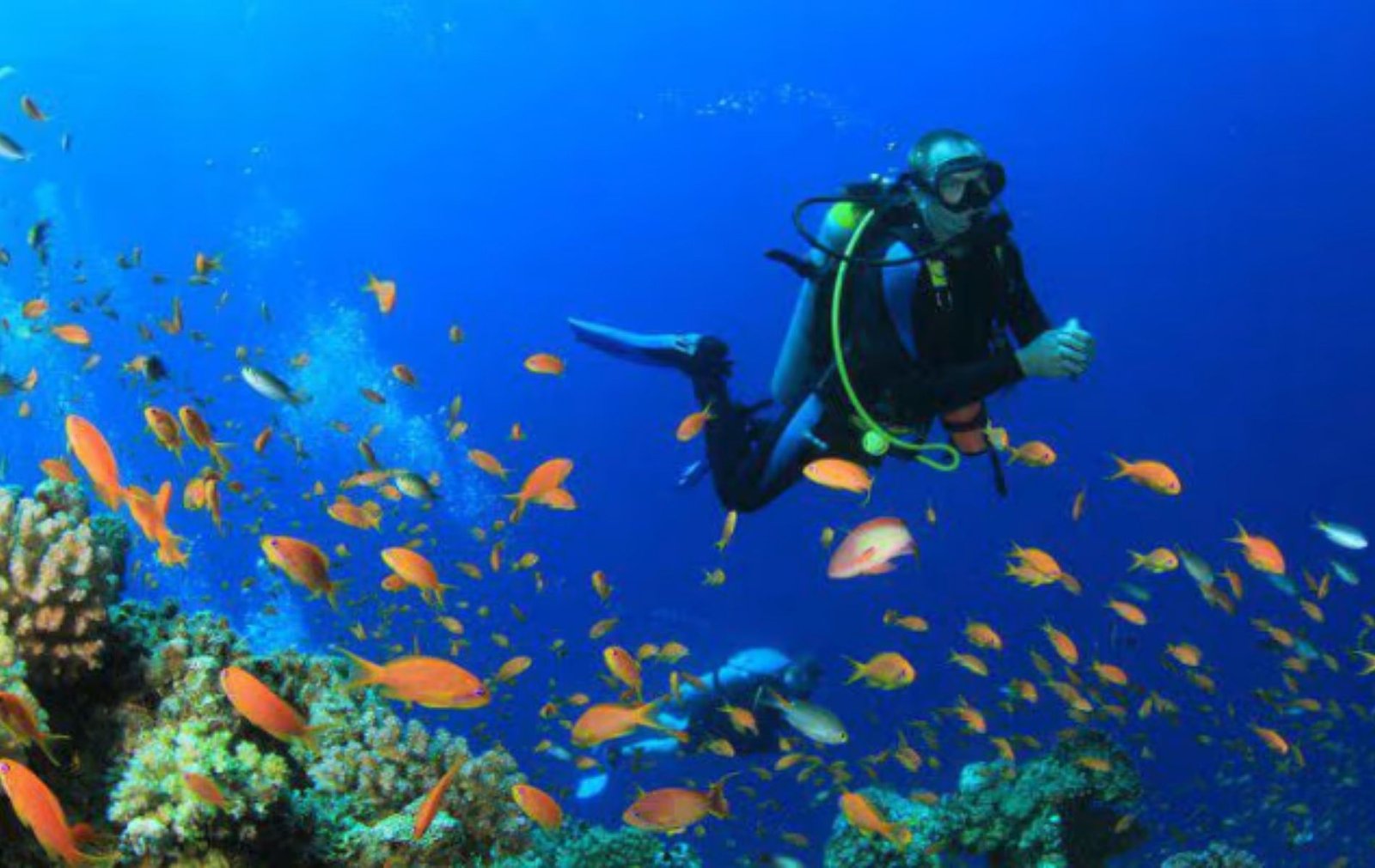 Scuba Diving With Watersports Combo At Grand Island Goa